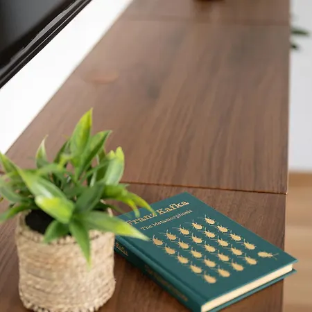 Anvi Concept * Prag